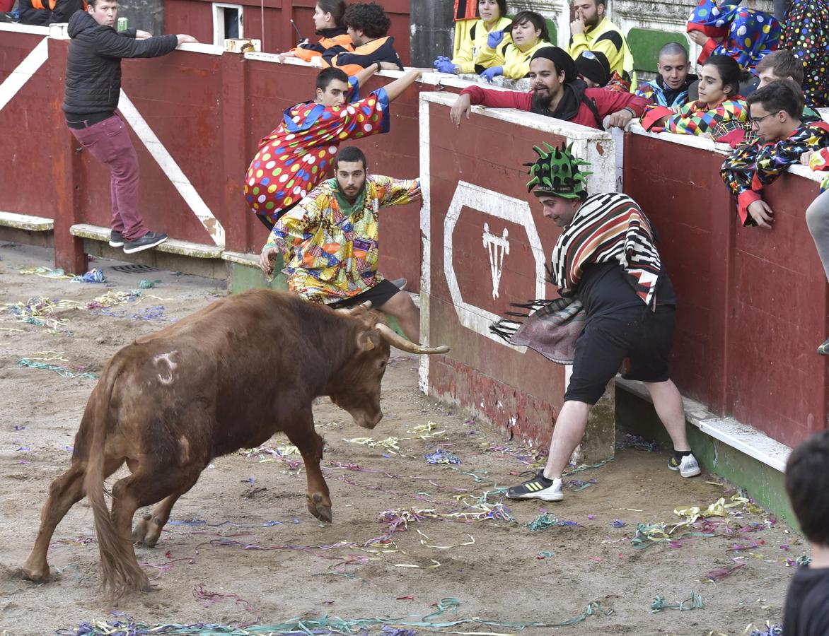 Fotos Arranca el carnaval en Tolosa El Diario Vasco